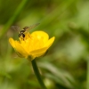 TIA_9611_1