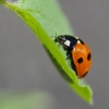 tia_2470_1