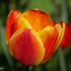 pict0363_1
