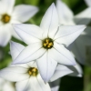 pict0397_1