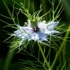 pict0880_1