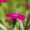 pict0888_1