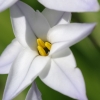 tia_0695_1