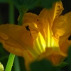 tia_6483_1