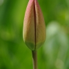 tia_6839_1