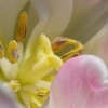 tia_6889_1