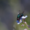 tia_4653_1