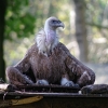 tia_5353_1