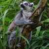 tia_5468_1