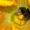 tia_6474_1_1